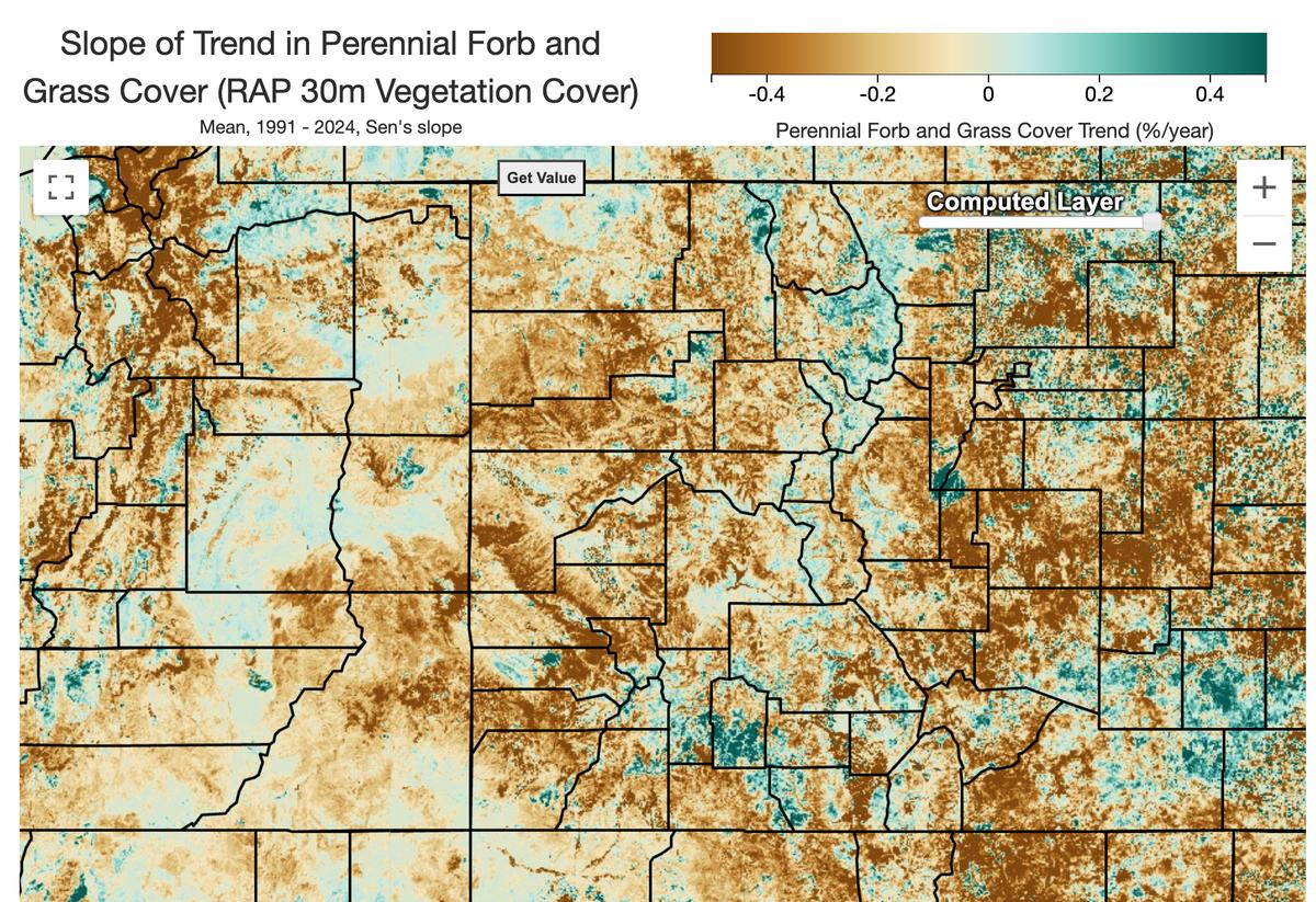 RAP Cover - 30m - Yearly